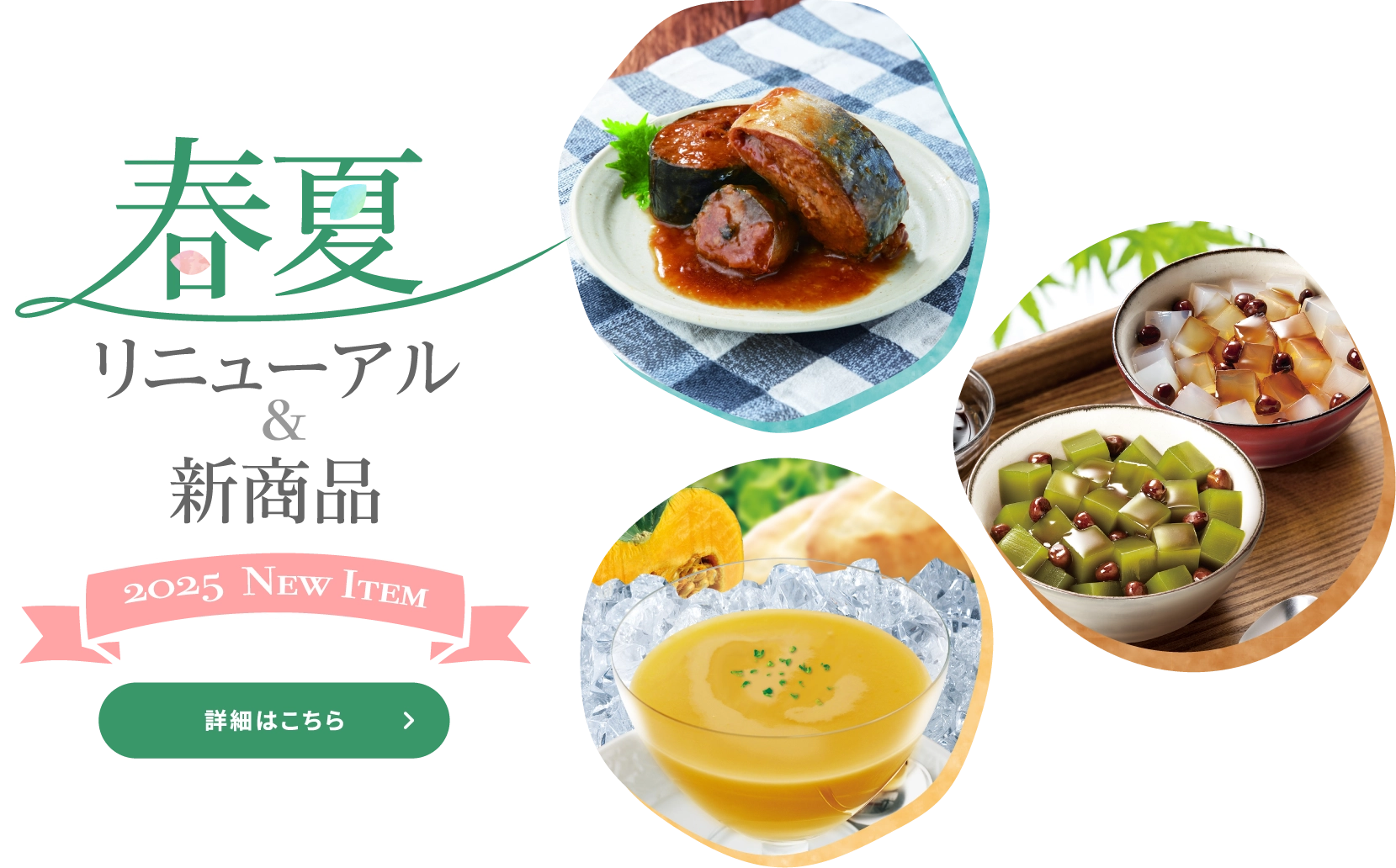 2025 NEW ITEM 春夏リニューアル＆新商品